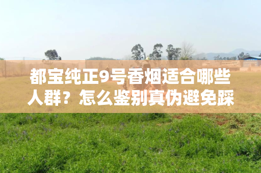 都宝纯正9号香烟适合哪些人群？怎么鉴别真伪避免踩坑？